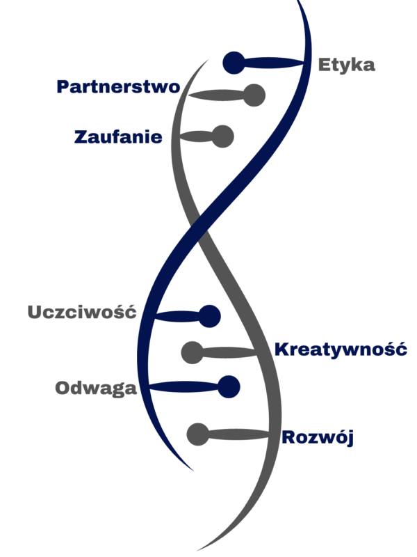 DNA IIB (4) DNA IIB (4)